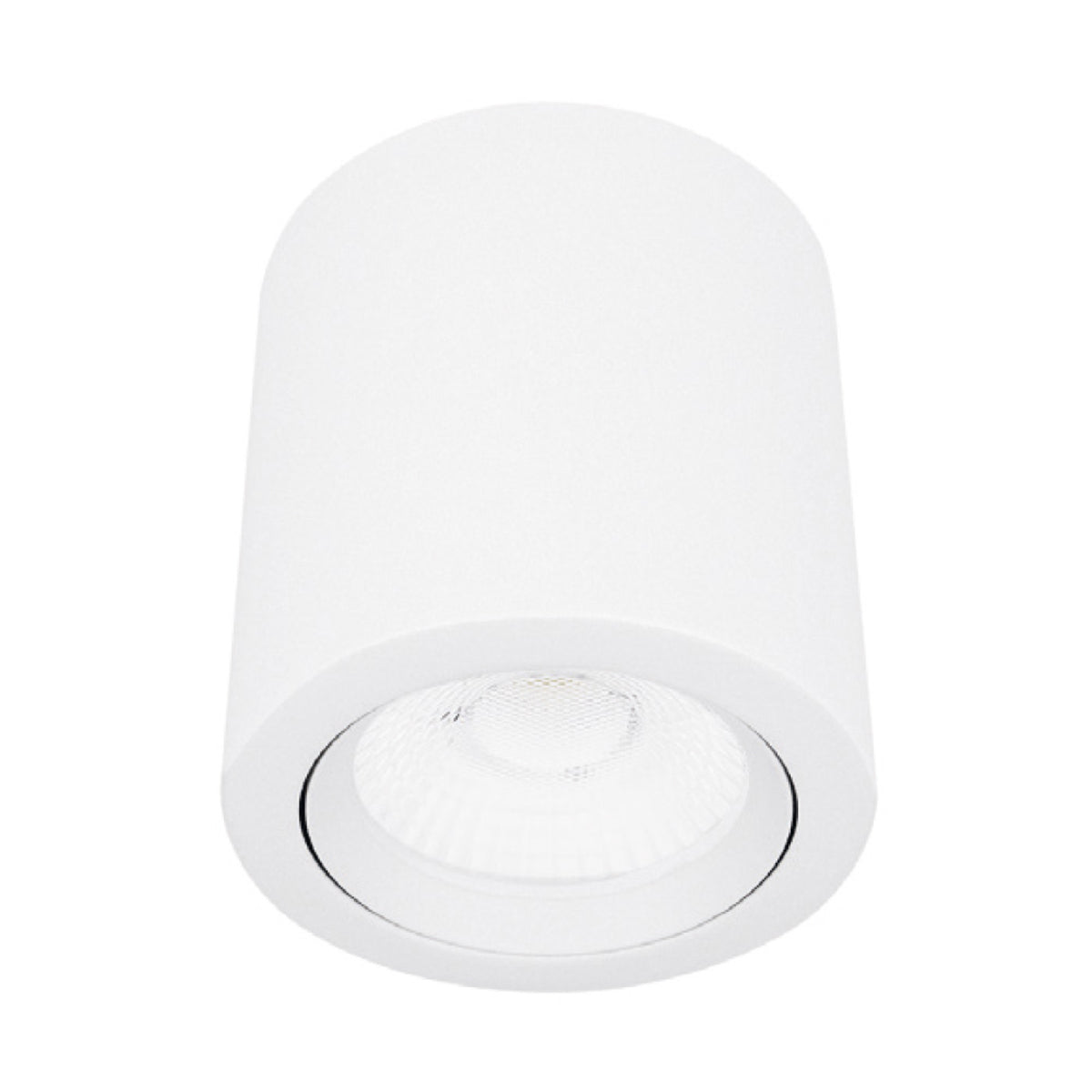 SPOT LED DE SOBRPONER PARA INTERIORES DE TECHO BLANCO ASHLESHA 10W 100-240V 1020LM 30K 10YSNLED009MV30B