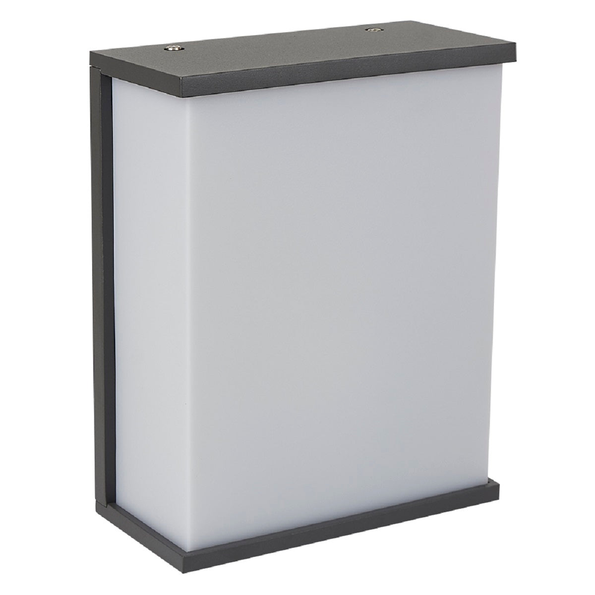 LAMPARA DE MURO PARA EXTERIOR MURO S/L100-240VE27 20H1175MVS