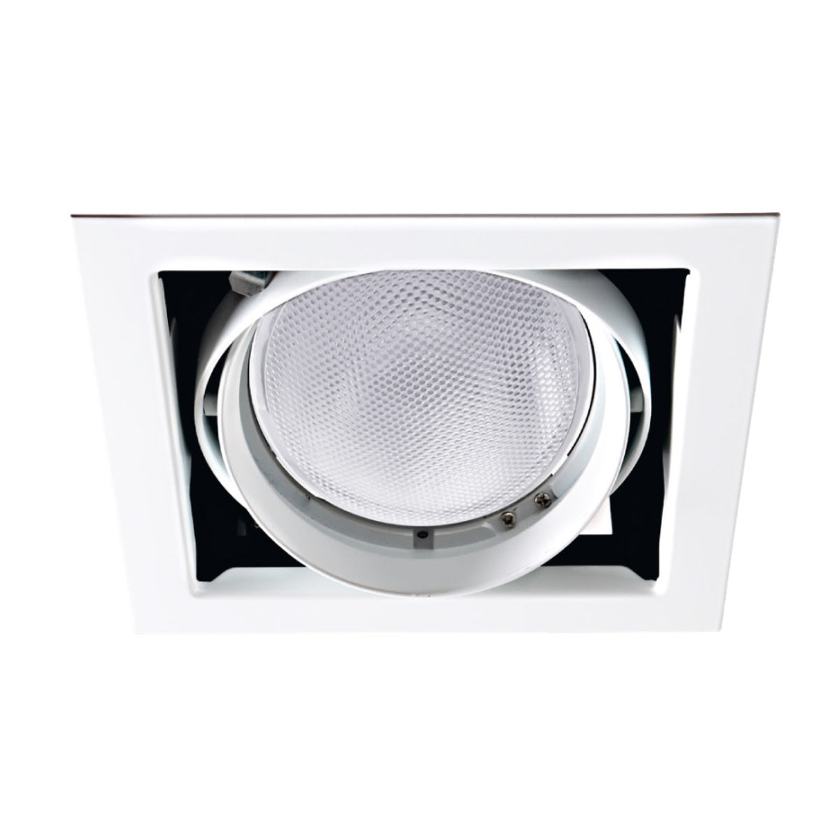 LAMPARA EMPOTRABLE DE TECHO DIRIGIBLE PARA INTERIOR LED 100-240VE27 20YD5001MVBE27