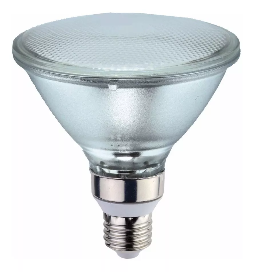 PAR 30 13 W