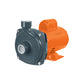 Bomba centrífuga para agua, 1 HP, TRUPER, Truper, SKU 100430