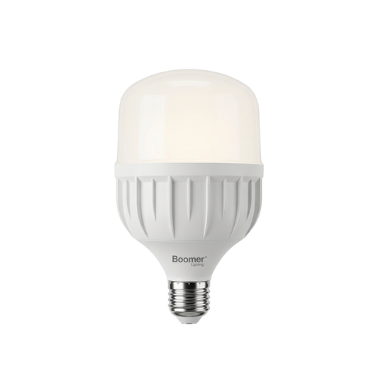 FOCO LED INDUSTRIAL ALTA POTENCIA 30W 2,700LM 65K LUZ FRÍA BOOMER BLHPT-030-65