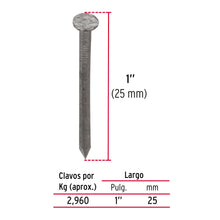 BOLSA 1KG CLAVO ALFILERILLO 1