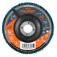 Disco laminado 4' grano 40 centro 5/8' fibra TRUPER — foto oficial 1