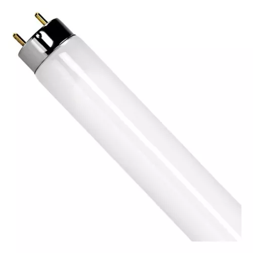 TUBO FLUORESCENTE T8 6500K 32W LUZ FRIA PR/TU/FL/32W/T8/65