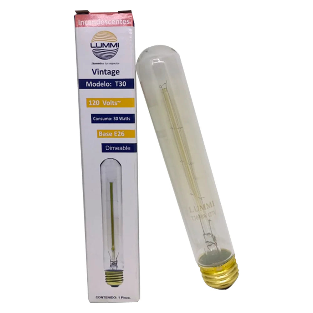 FOCO VINTAGE DE FILAMENTO CON BASE E26 30W LUMMI T30W HAIRPIN