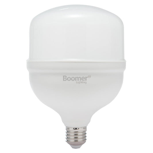 FOCO INDUSTRIAL TOLEDO E26 40W 65K LUZ FRÍA BOOMER LT00024F