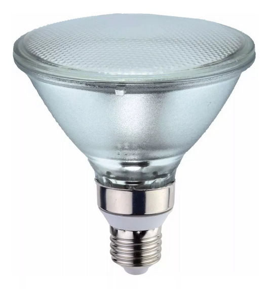PAR 30 13 W